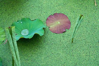 《灰色幻影扳机第7卷第8卷》确定登陆任天堂Switch